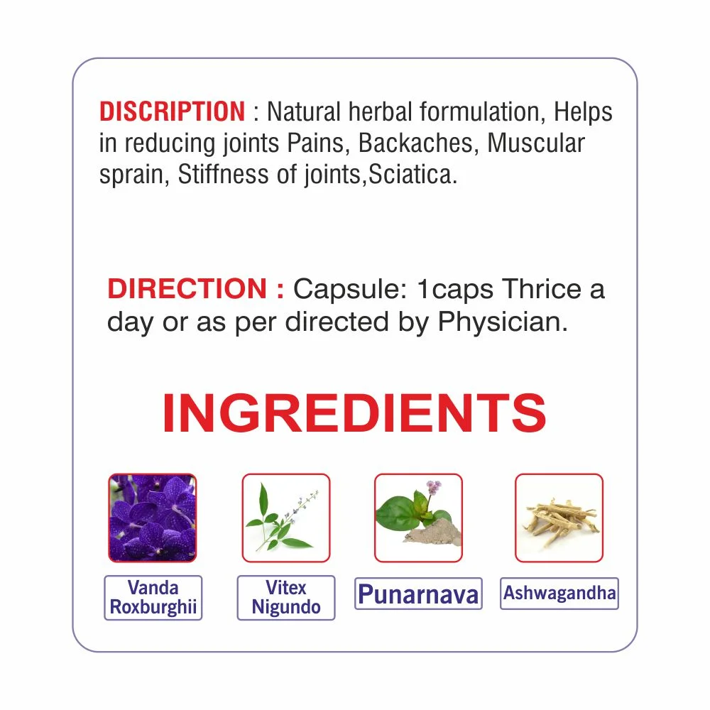 Reumeron Capsules Key Ingredients and Usage Direction
