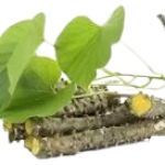 Guduchi