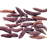 Nagarmotha