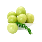 aamla-300x275