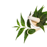 azadirachta_indica