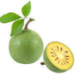 bael-fruit1