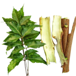 neem_chal